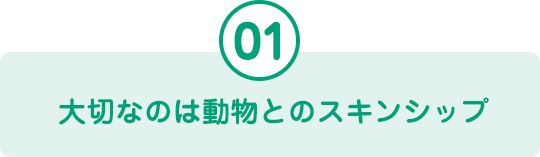 大切なのは動物とのスキンシップ